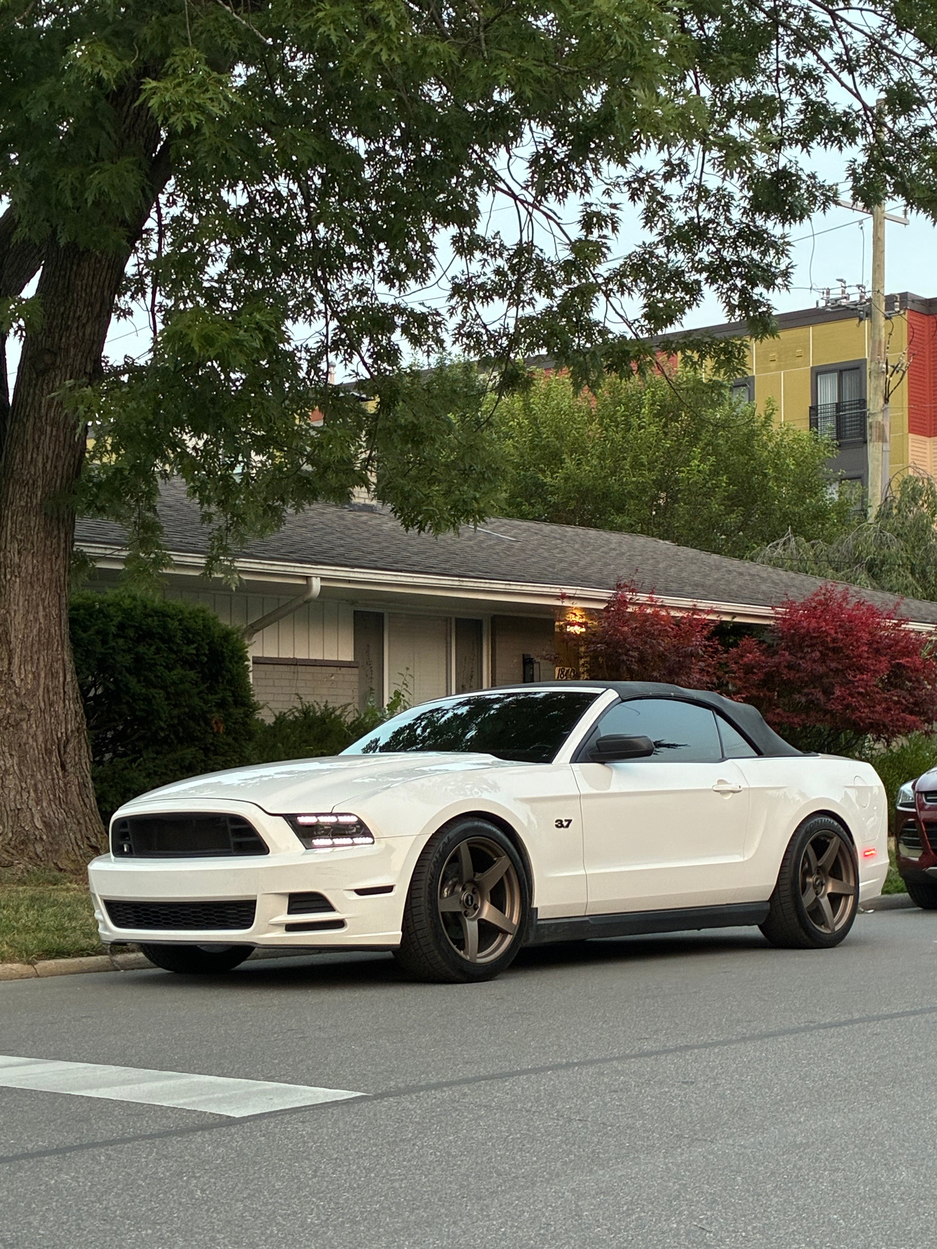 Mustang Parts